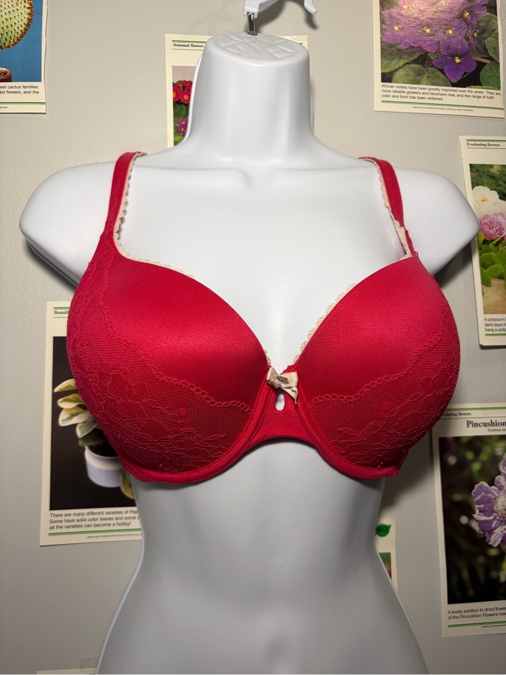 Victoria's Secret Red Lace-Trim Underwire Bra